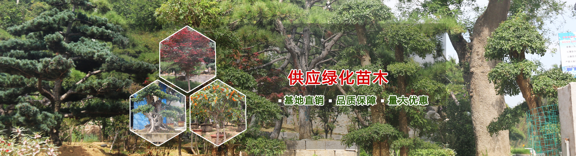 山東科大中天安控科技有限公司 