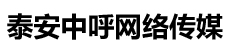 山東科大中天安控科技有限公司logo 